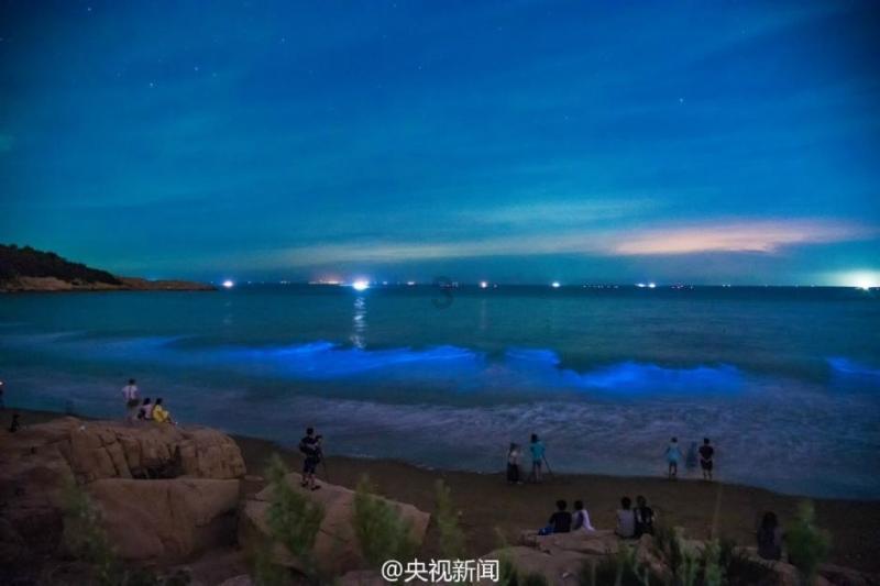 程丽华当选重庆市政协主席 将积极履行职责